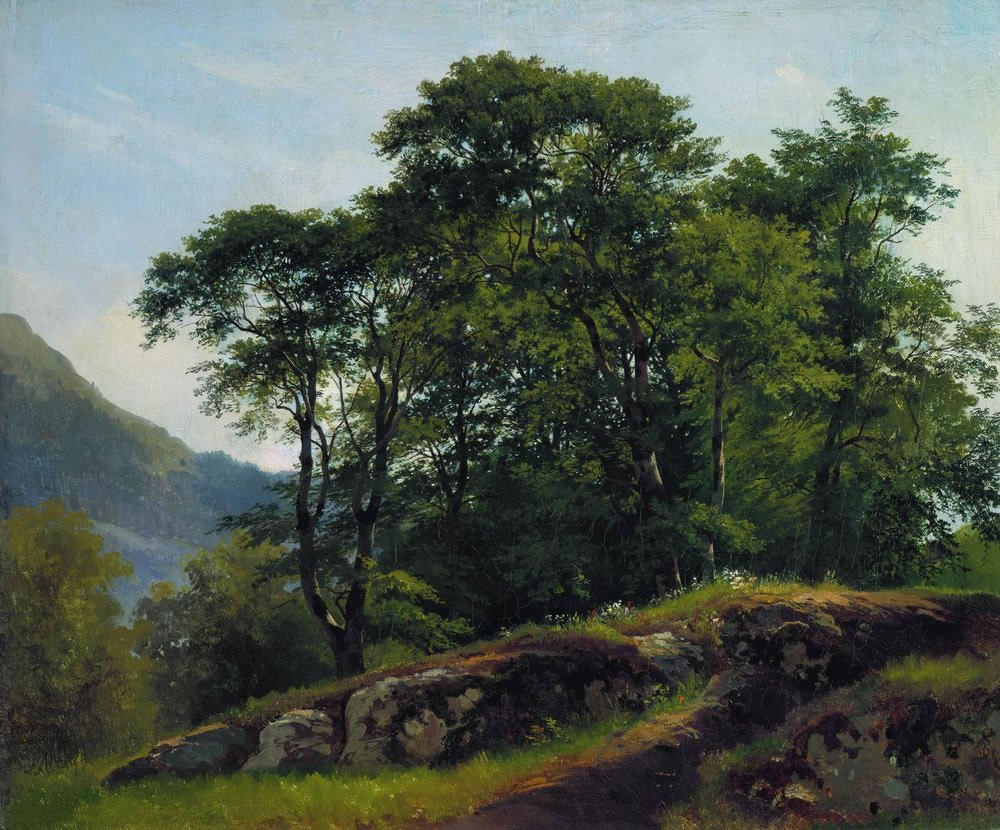 Иван Шишкин. Буковый лес в Швейцарии. 1863.